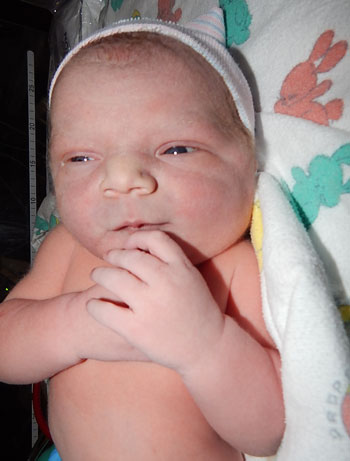 Briar William Baby Picture