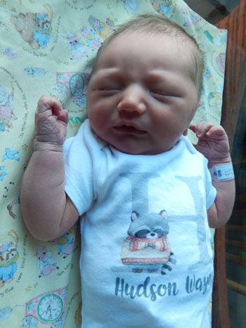 Hudson Wayne Baby Pic