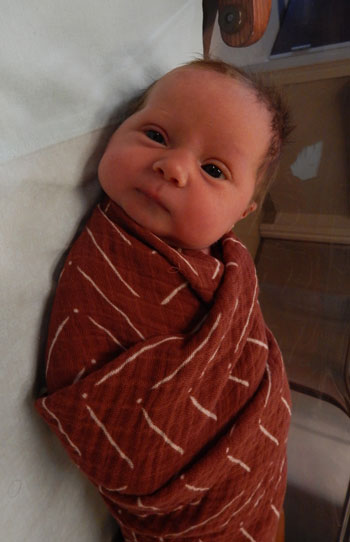 Gracelinn Marie Baby Picture