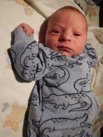 Brooks Daniel Baby Picture
